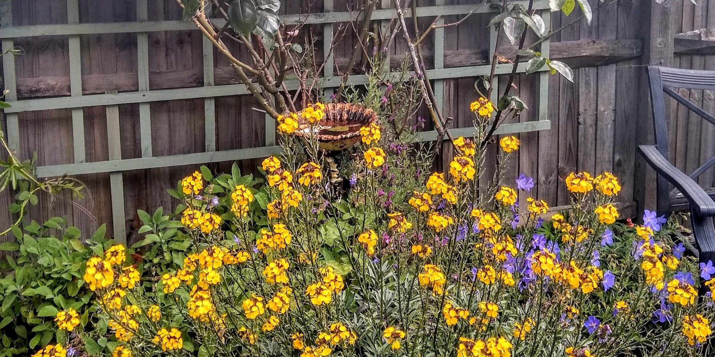 attachment-5e6fe01b0e6a5951ac7a455c