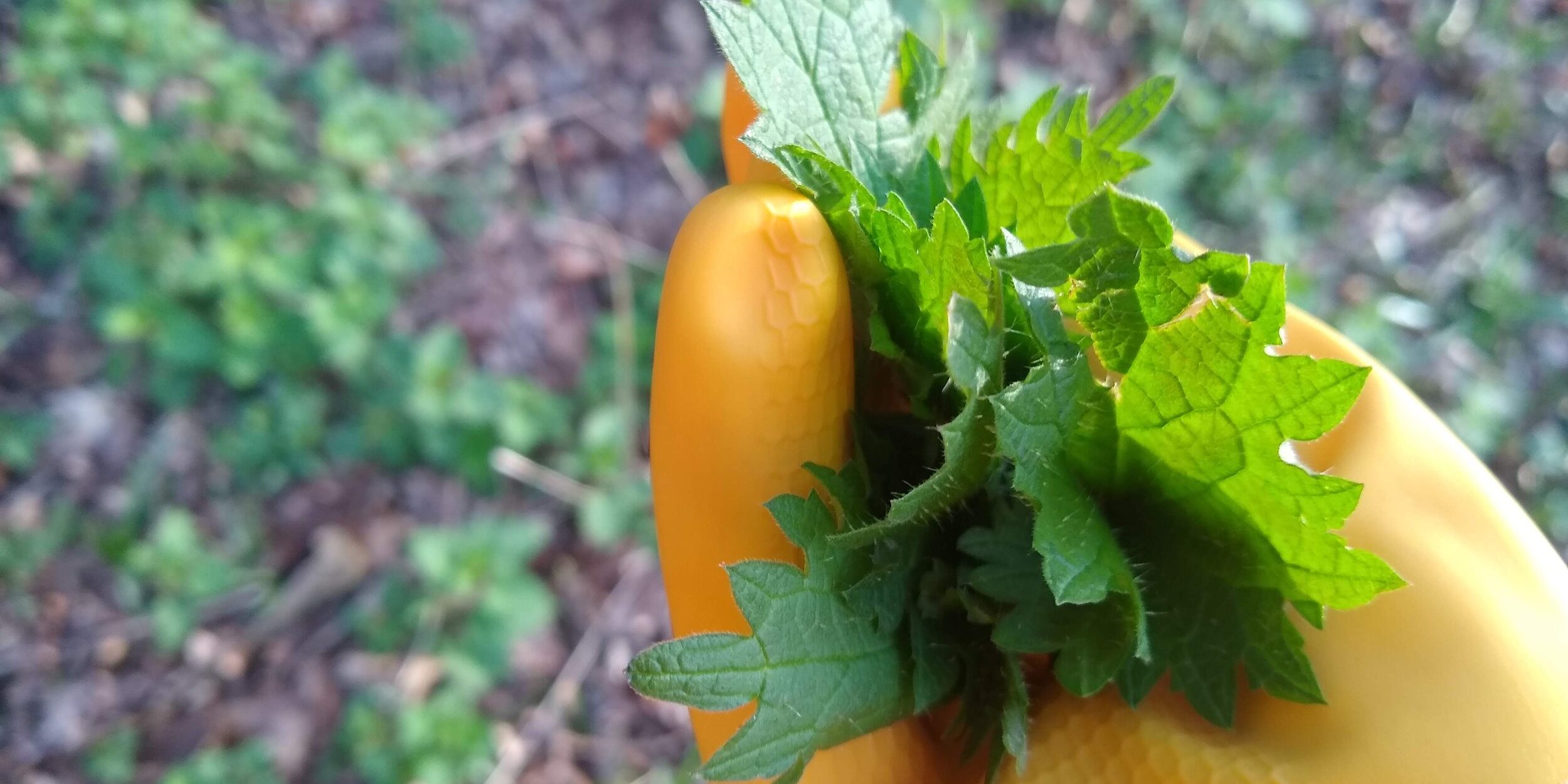 attachment-5e6fecd58b4d9874f2a9fe46