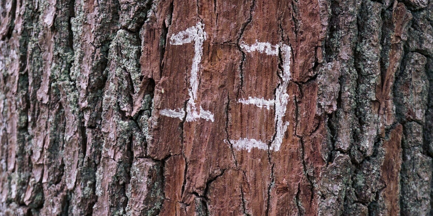 attachment-5e77c1dee08d1b666d0fd408