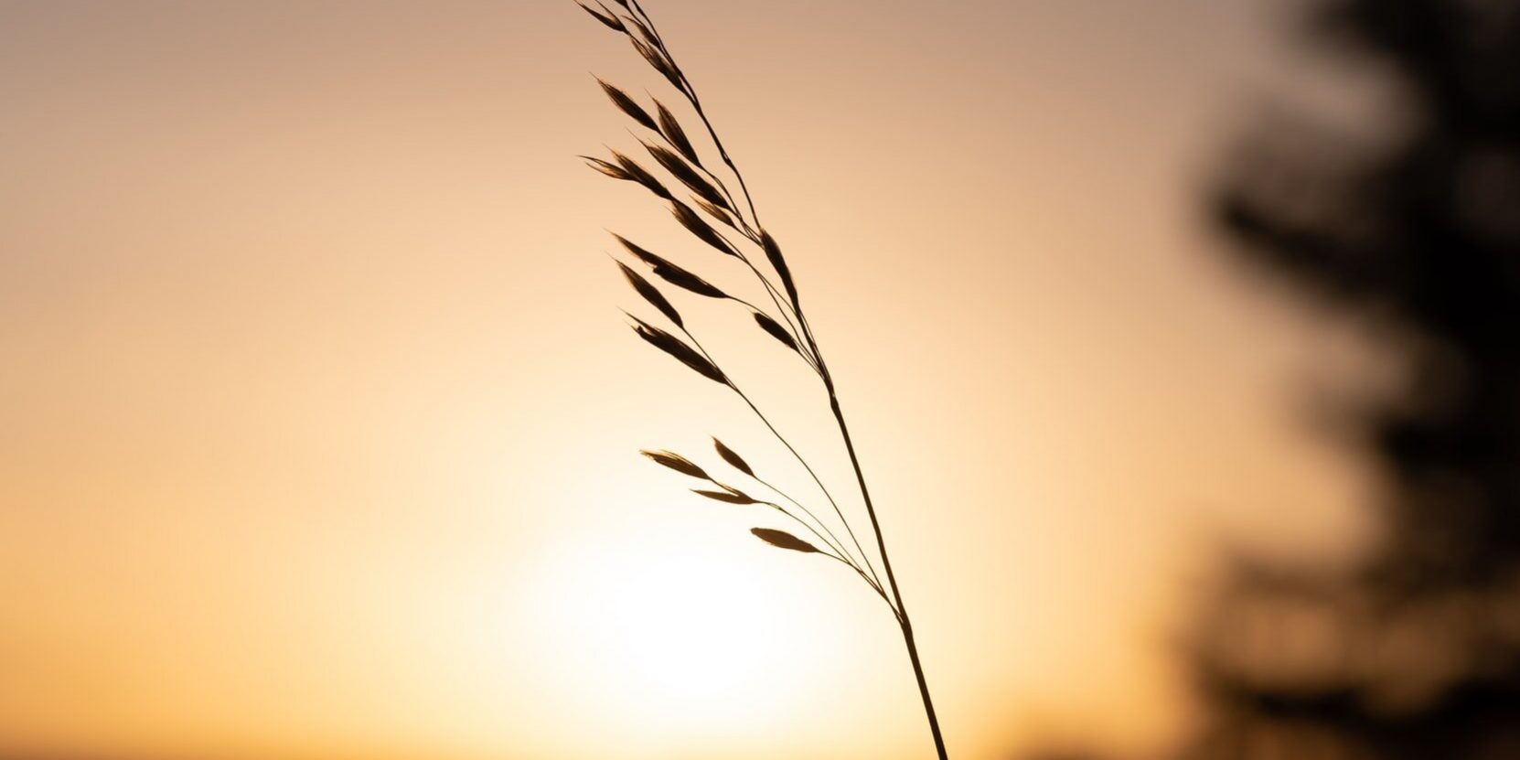 attachment-5e750f15eed0714301c62085