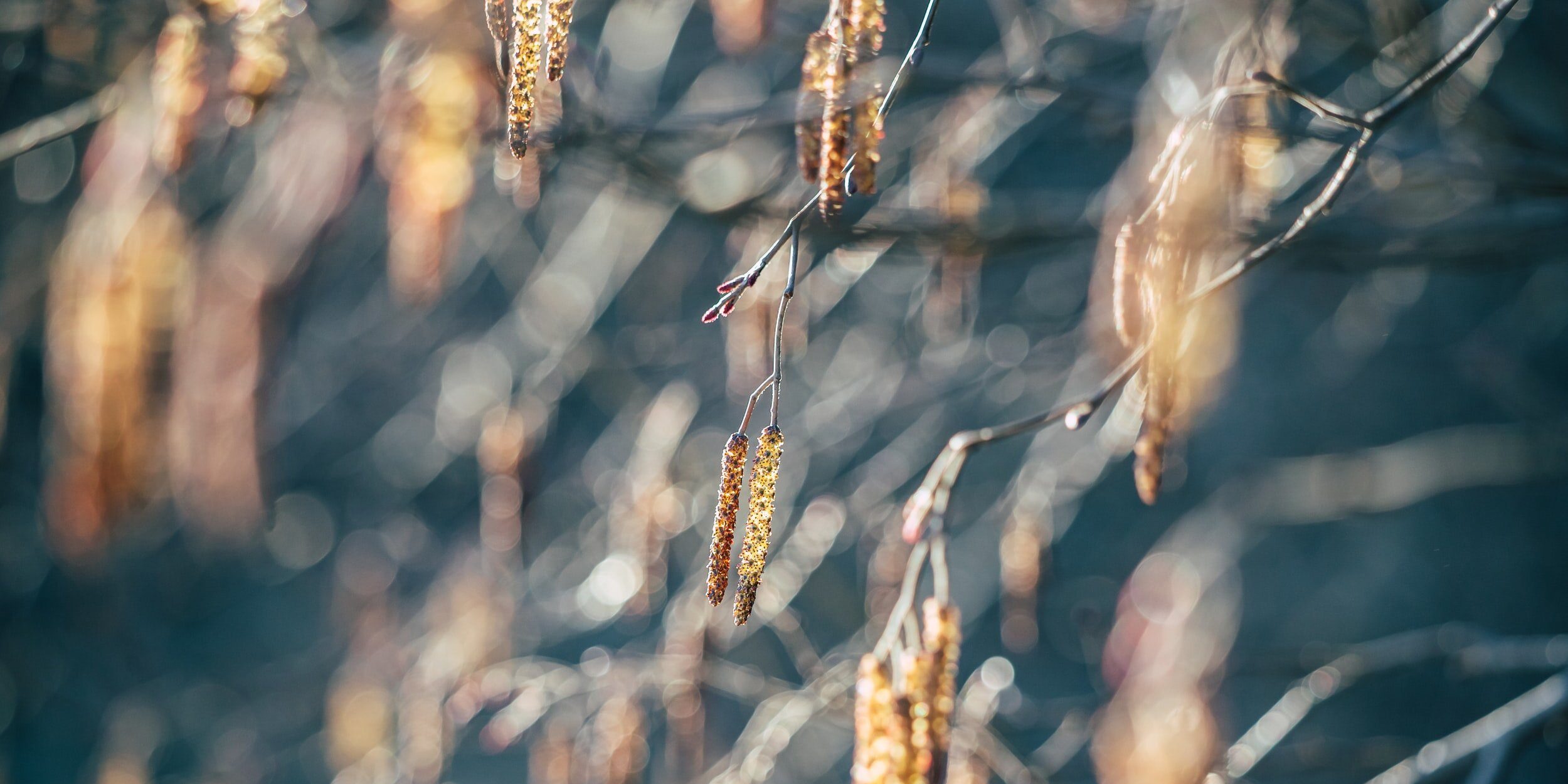 attachment-5e72819e84e4096f046fc3e6