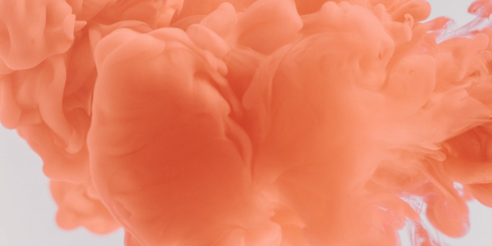 attachment-5e7687a9e8ff44374cfa8a85