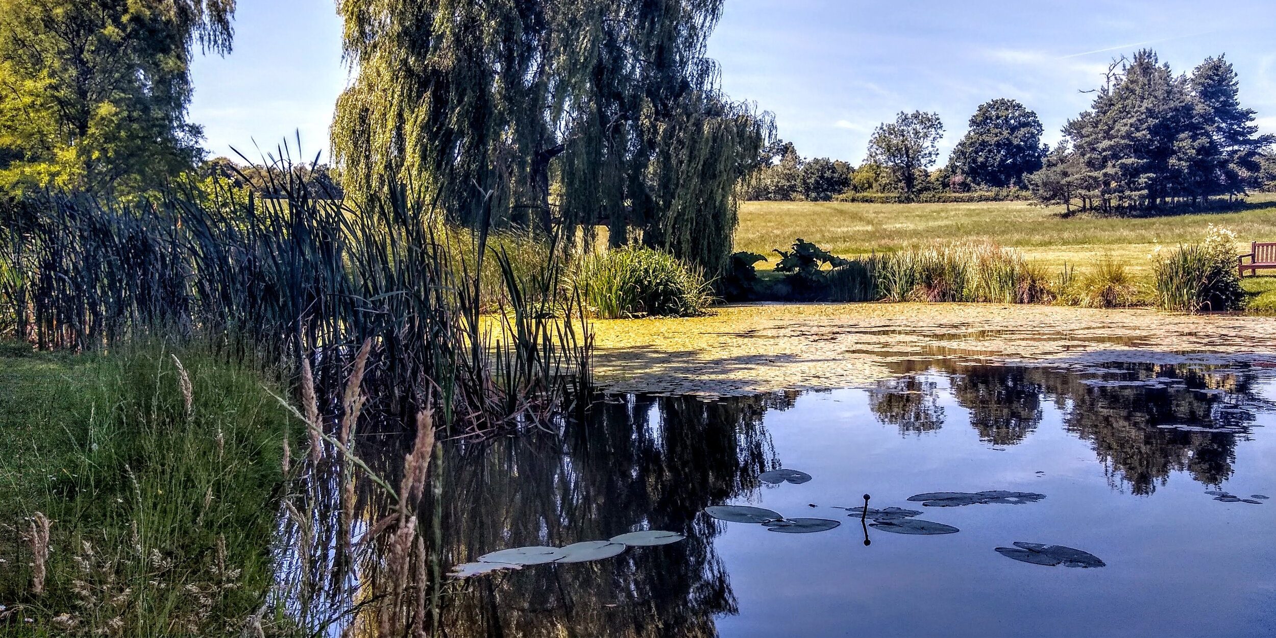 attachment-5e9756b8991643665678ef6d