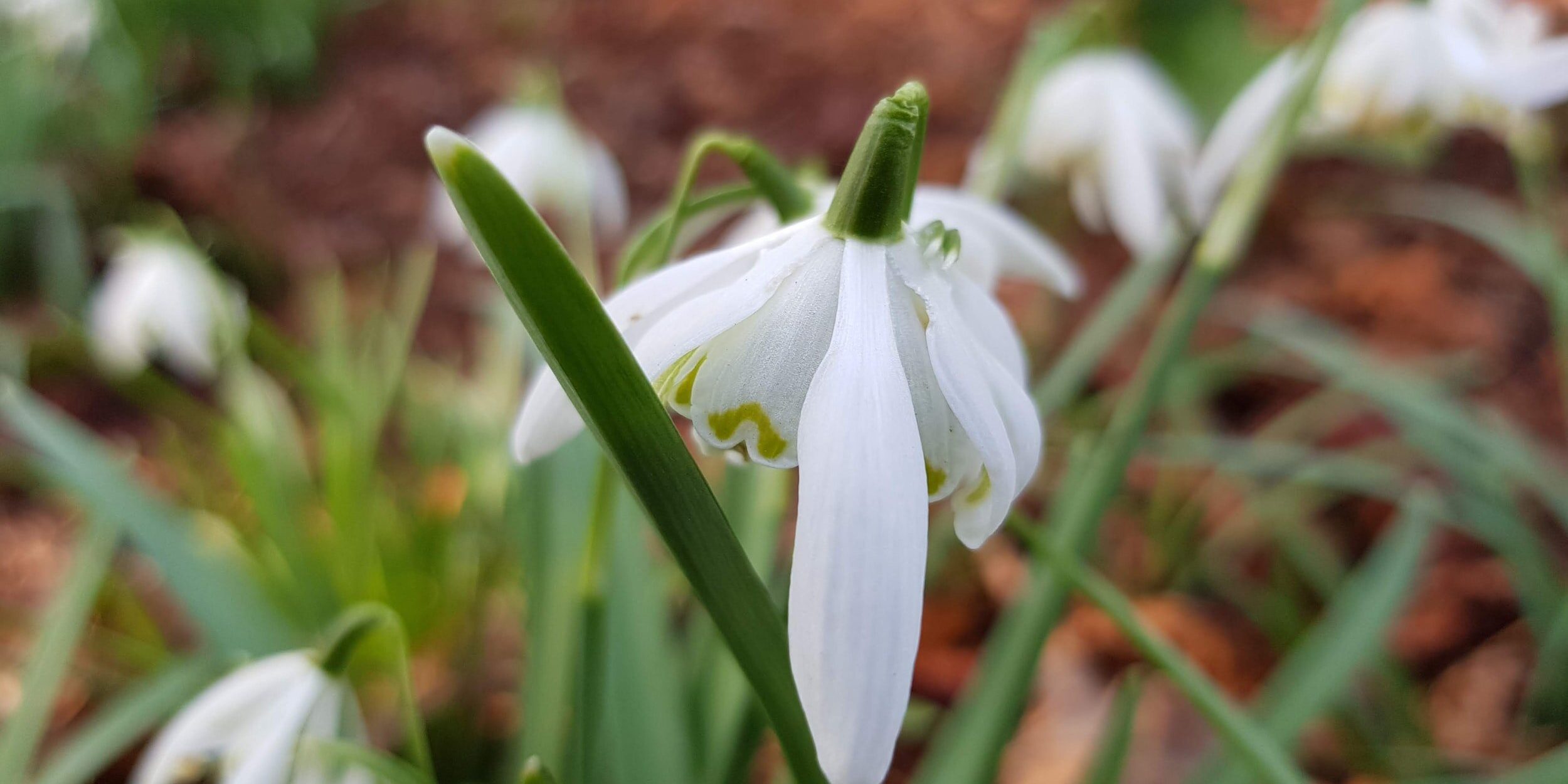 attachment-5e84f34b462cb45961eac6a4