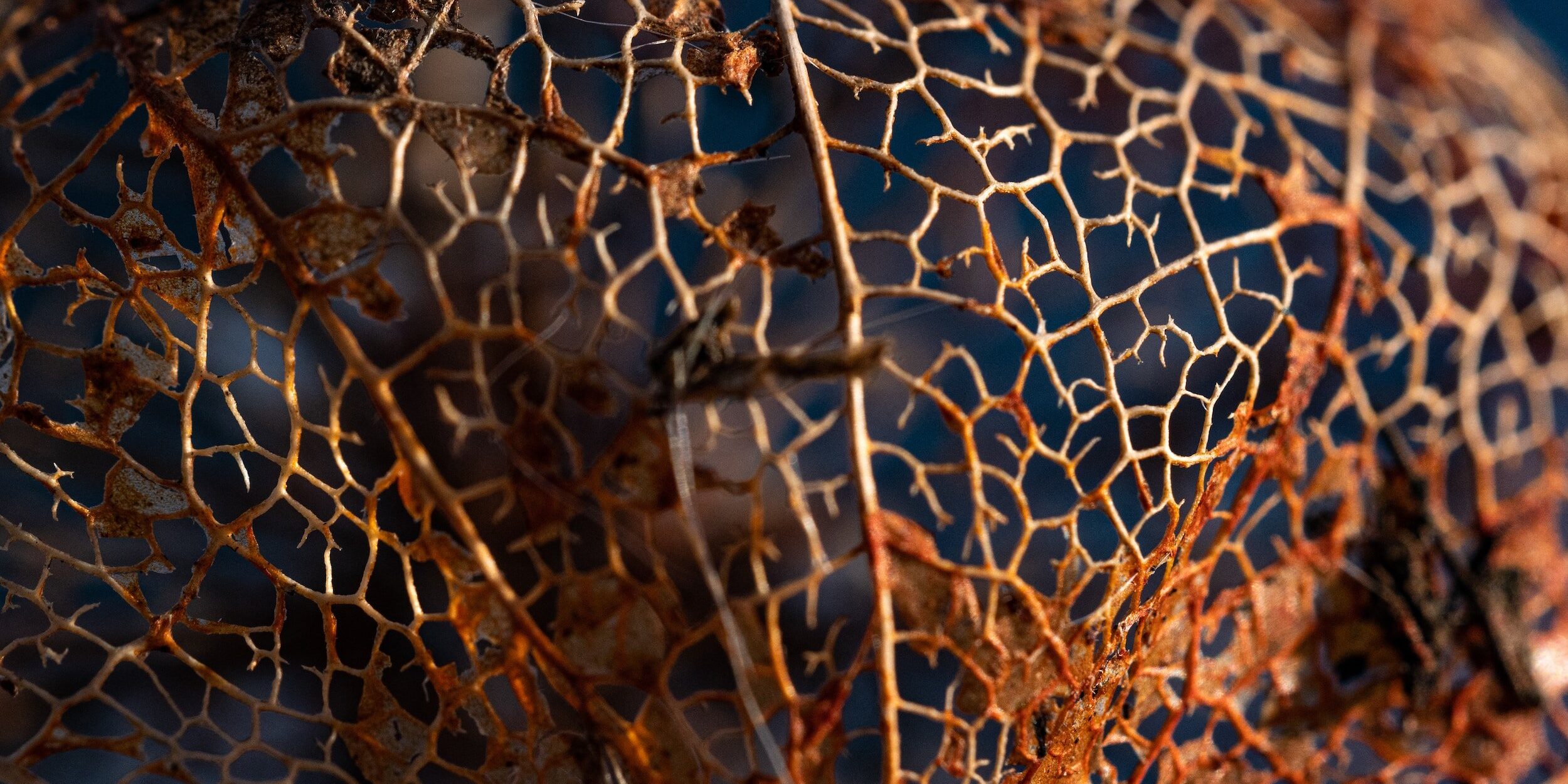 attachment-5eb16e4a7de7465ccbf9f8b1