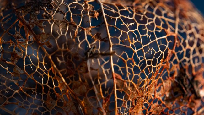 attachment-5eb16e4a7de7465ccbf9f8b1