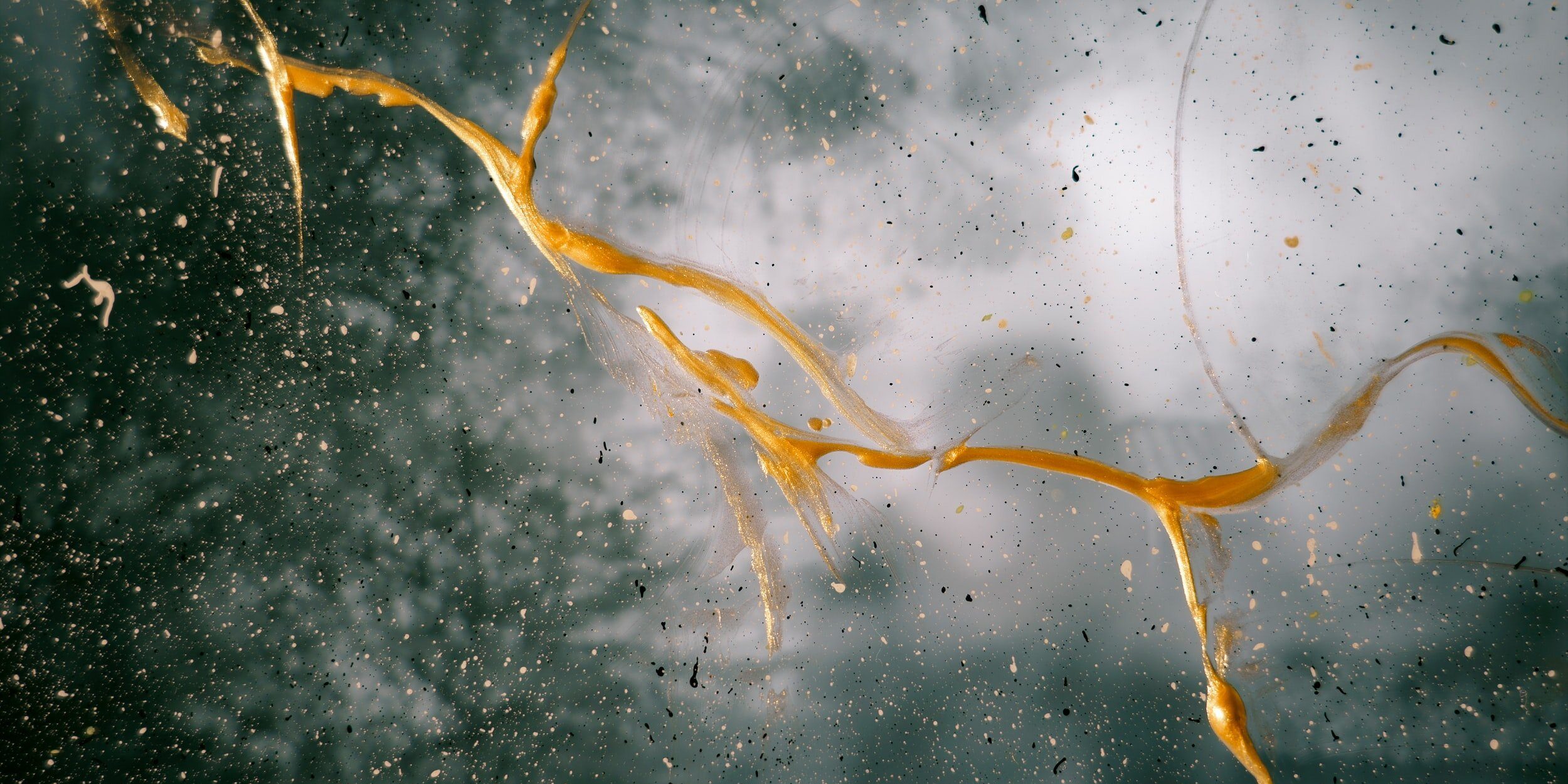 attachment-5eb2d2fa5c1a0472060cb556