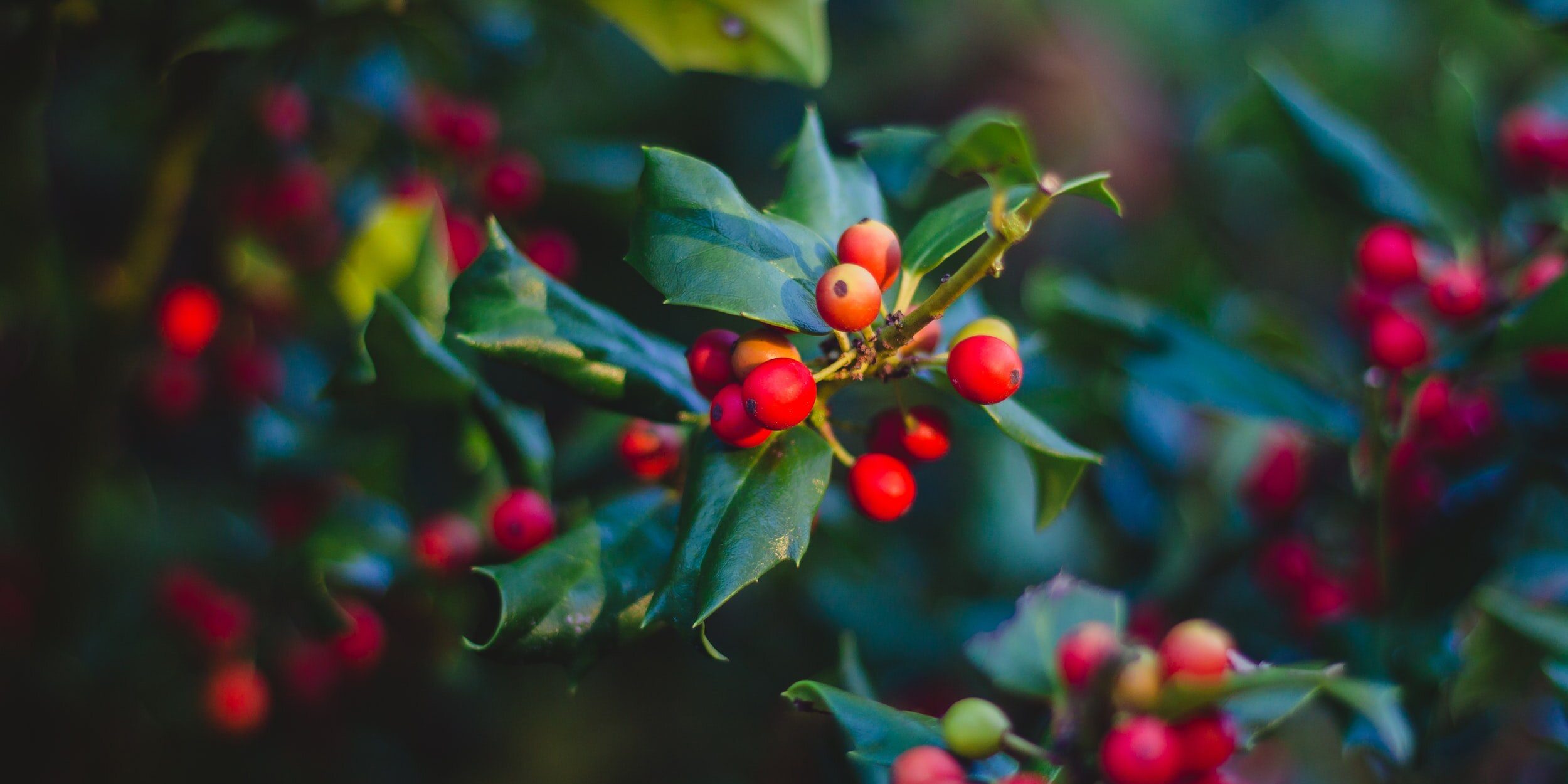 attachment-5f073610406e702802901f90