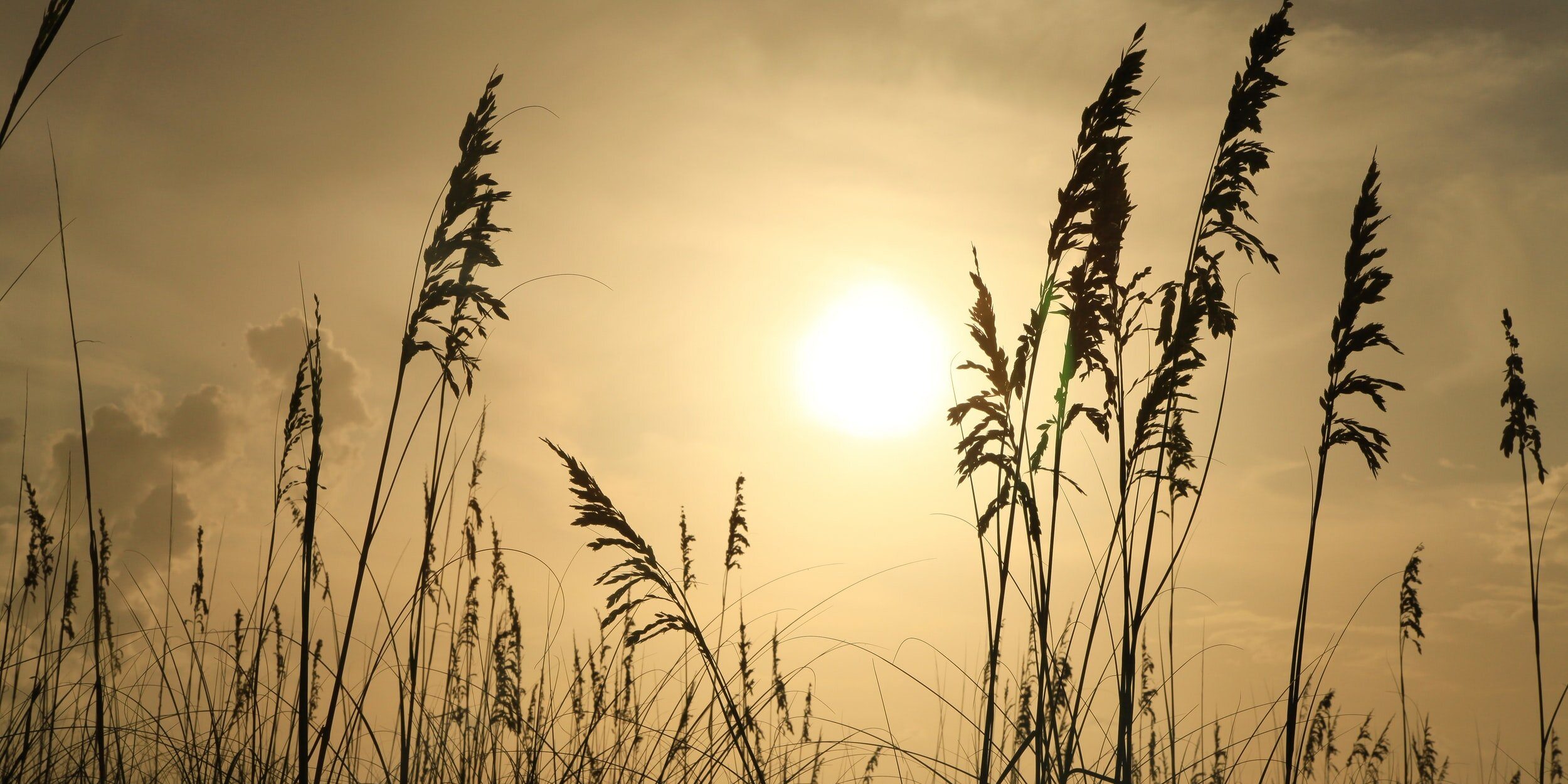 attachment-5f8756451e242935c6c7d6eb