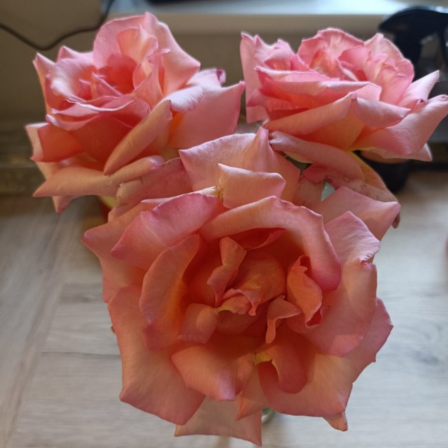 attachment-60e5d45cb81b4f083a8b125a